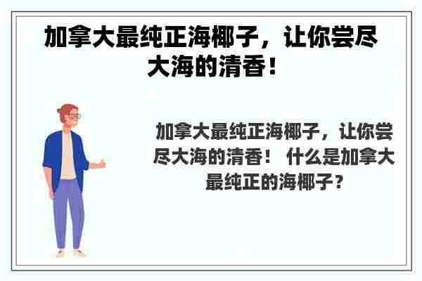 加拿大最纯正海椰子，让你尝尽大海的清香！